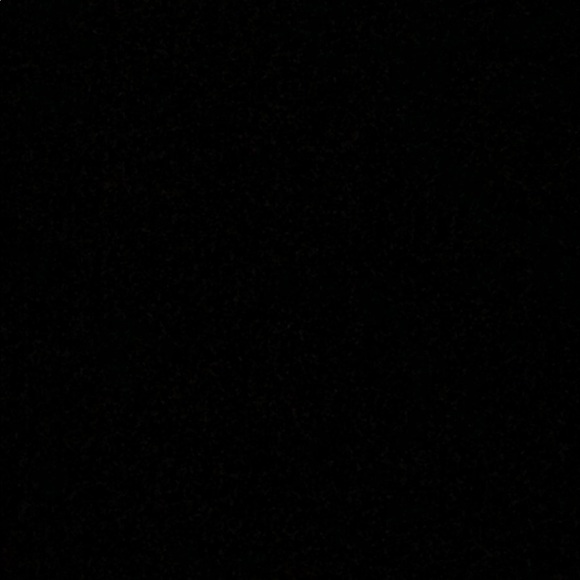 Meet your Posher, Jaden - Picture 1 of 1